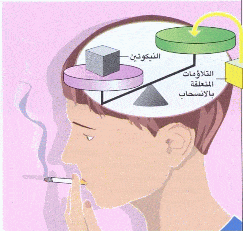 http://oloommagazine.com/images/Articles/2009/8&7/028_2.gif