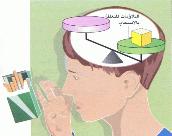 http://oloommagazine.com/images/Articles/2009/8&7/028_3.gif