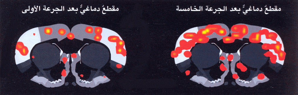 http://oloommagazine.com/images/Articles/2009/8&7/031.gif