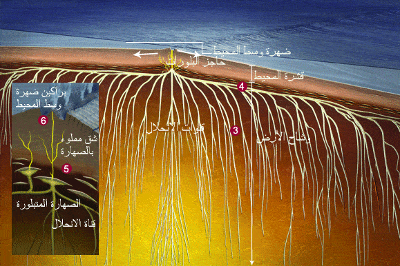 http://oloommagazine.com/images/Articles/2009/8&7/44.gif