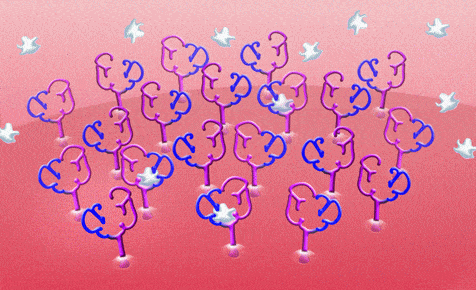 http://oloommagazine.com/images/Articles/2009/9-10/111.gif