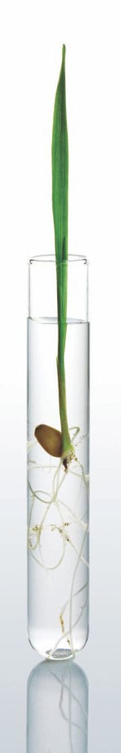 http://oloommagazine.com/Images/Articles/2010/3-4/2010_03_04_31.jpg