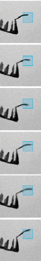 http://oloommagazine.com/Images/Articles/2011/1-2/2011_01_02_25.jpg