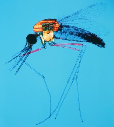 http://oloommagazine.com/Images/Articles/2011/3-4/2011_03_04_029_b.jpg