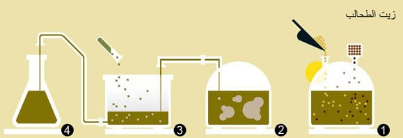 http://oloommagazine.com/Images/Articles/2012/01-02/2012_01_02_09.jpg