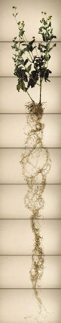 http://oloommagazine.com/Images/Articles/2012/03-04/2012_01_02_12.jpg