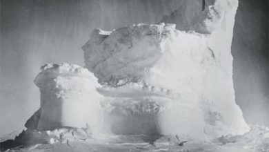 http://oloommagazine.com/Images/Articles/2012/05-06/2012_05_06_17_b.jpg