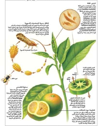 http://oloommagazine.com/Images/Articles/2013/07-08/Image22.jpg