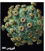http://oloommagazine.com/images/Articles/21/SCI2005b21N7-8_H01_004121.jpg