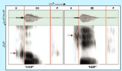 http://oloommagazine.com/images/Articles/21/SCI2005b21N7-8_H04_004142.jpg