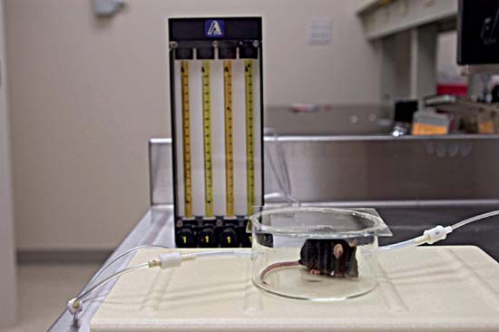 http://oloommagazine.com/images/Articles/21/SCI2005b21N10-11_H02_001039.jpg