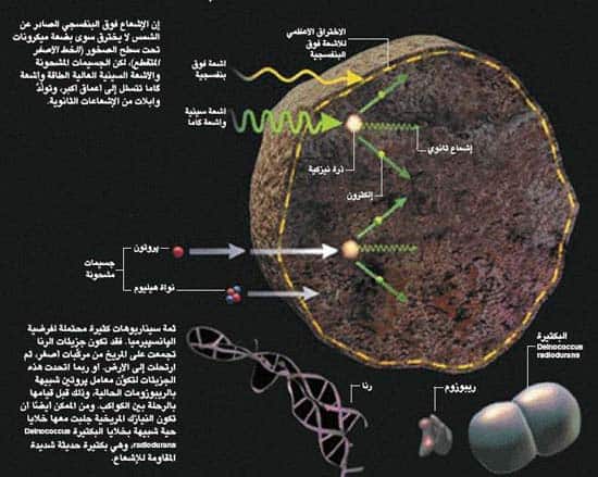 http://oloommagazine.com/images/Articles/21/SCI2005b21N10-11_H05_001051.jpg
