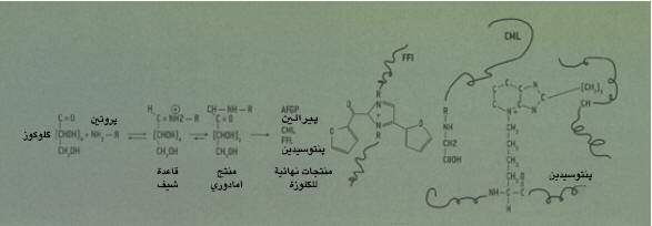 http://oloommagazine.com/images/Articles/21/SCI2005b21N5-6_H01_004021.jpg