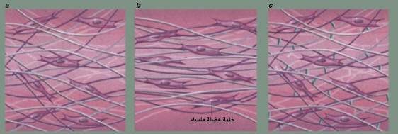 http://oloommagazine.com/images/Articles/21/SCI2005b21N5-6_H01_004022.jpg