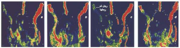 http://oloommagazine.com/images/Articles/21/SCI2005b21N5-6_H01_004023.jpg