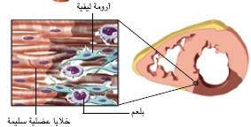 http://oloommagazine.com/images/Articles/21/SCI2005b21N9_H01_004207.jpg