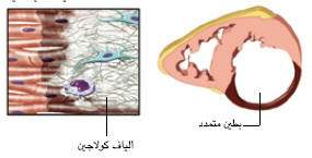 http://oloommagazine.com/images/Articles/21/SCI2005b21N9_H01_004208.jpg