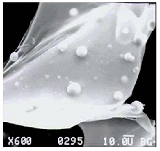 http://oloommagazine.com/images/Articles/21/SCI2005b21N9_H01_004211.jpg