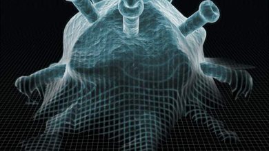 http://oloommagazine.com/images/Articles/21/SCI2005b21N7-8_H01_004120.jpg