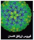 http://oloommagazine.com/images/Articles/21/SCI2005b21N7-8_H01_004125.jpg
