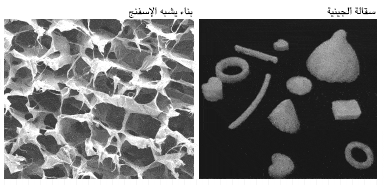 http://oloommagazine.com/images/Articles/21/SCI2005b21N9_H01_00146.gif