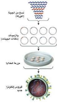http://oloommagazine.com/images/Articles/21/SCI2005b21N1-2_H03_00941.jpg