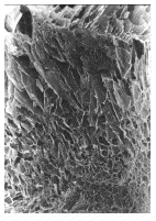http://oloommagazine.com/images/Articles/21/SCI2005b21N9_H01_00148.gif