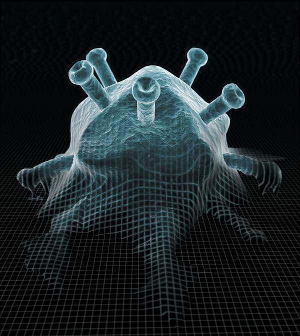 http://oloommagazine.com/images/Articles/21/SCI2005b21N7-8_H01_004120.jpg