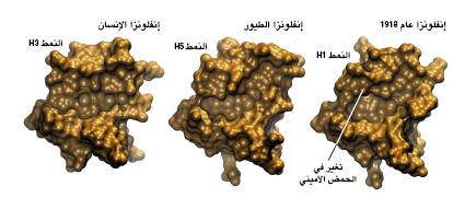 http://oloommagazine.com/images/Articles/21/SCI_index_2005b21N1-2_H03_00939.jpg