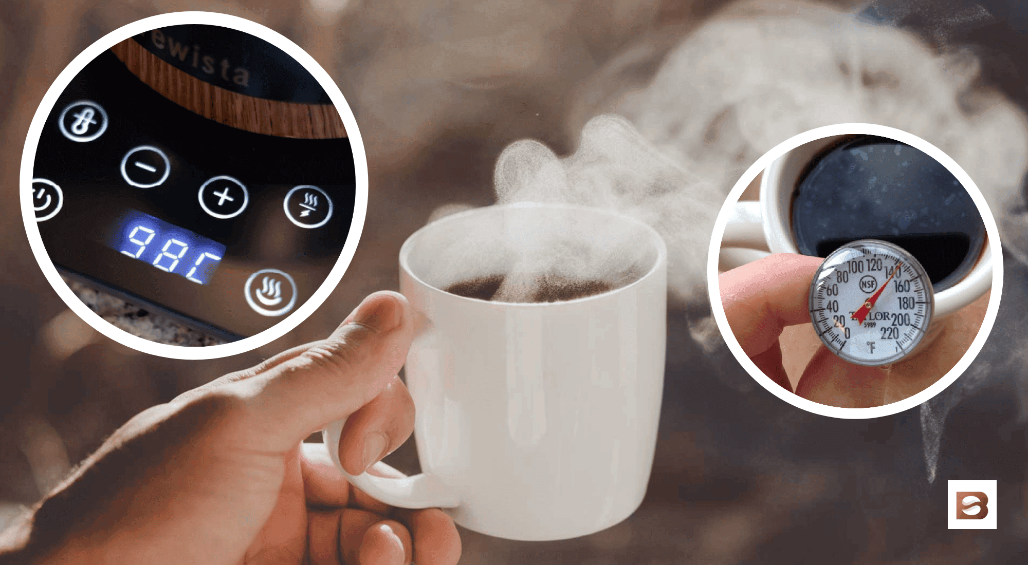 Coffee Brewing Temperature