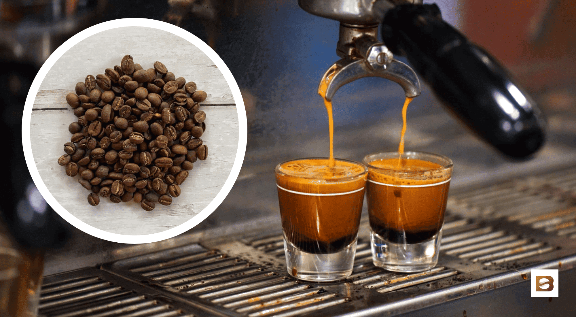 best coffee beans for espresso