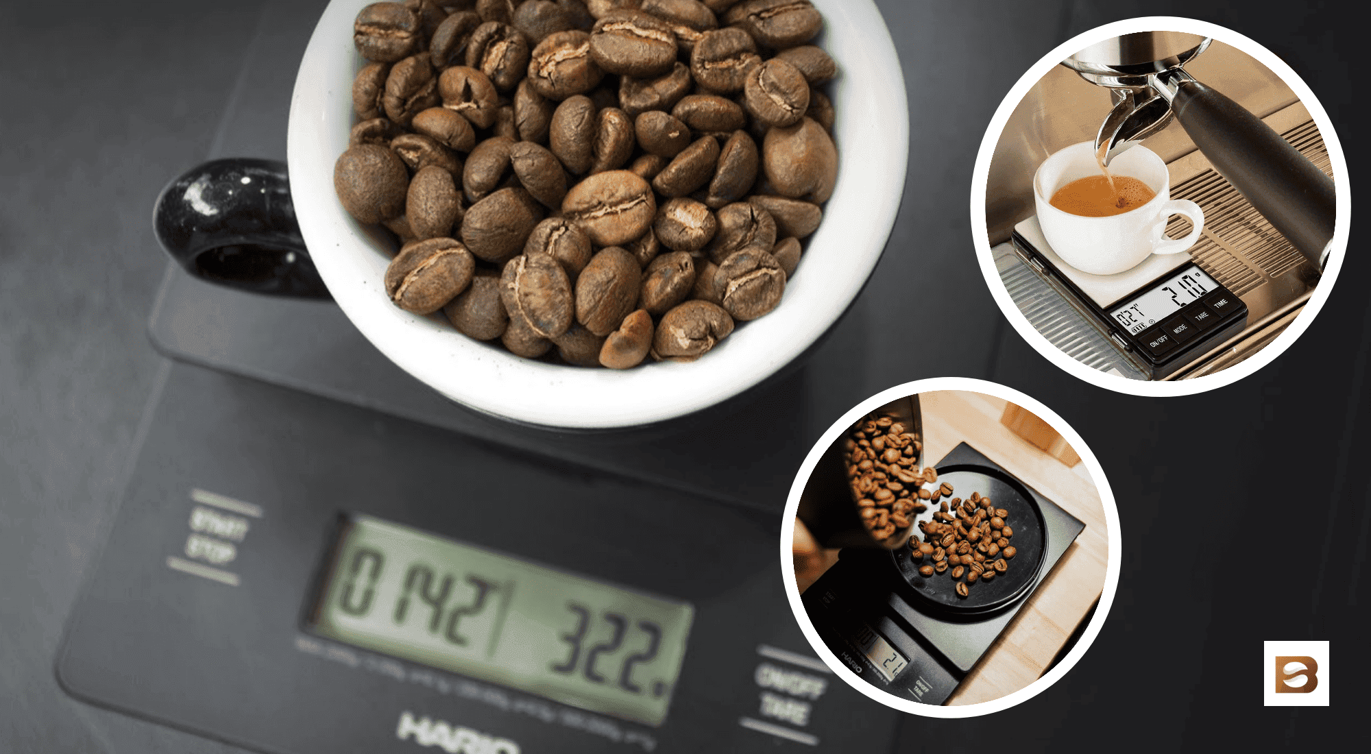 Best Coffee Scales