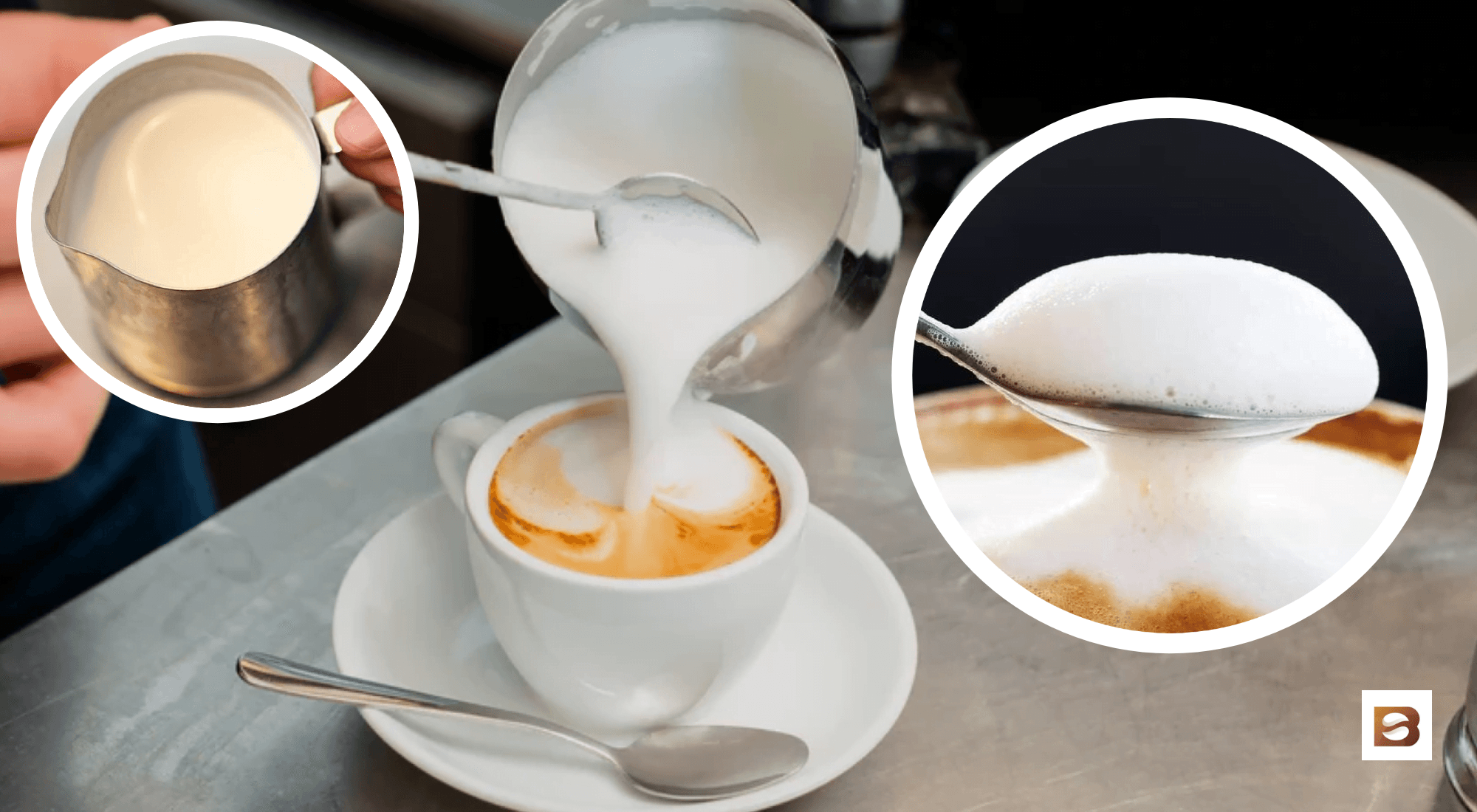 difference between steamed milk and frothed milk