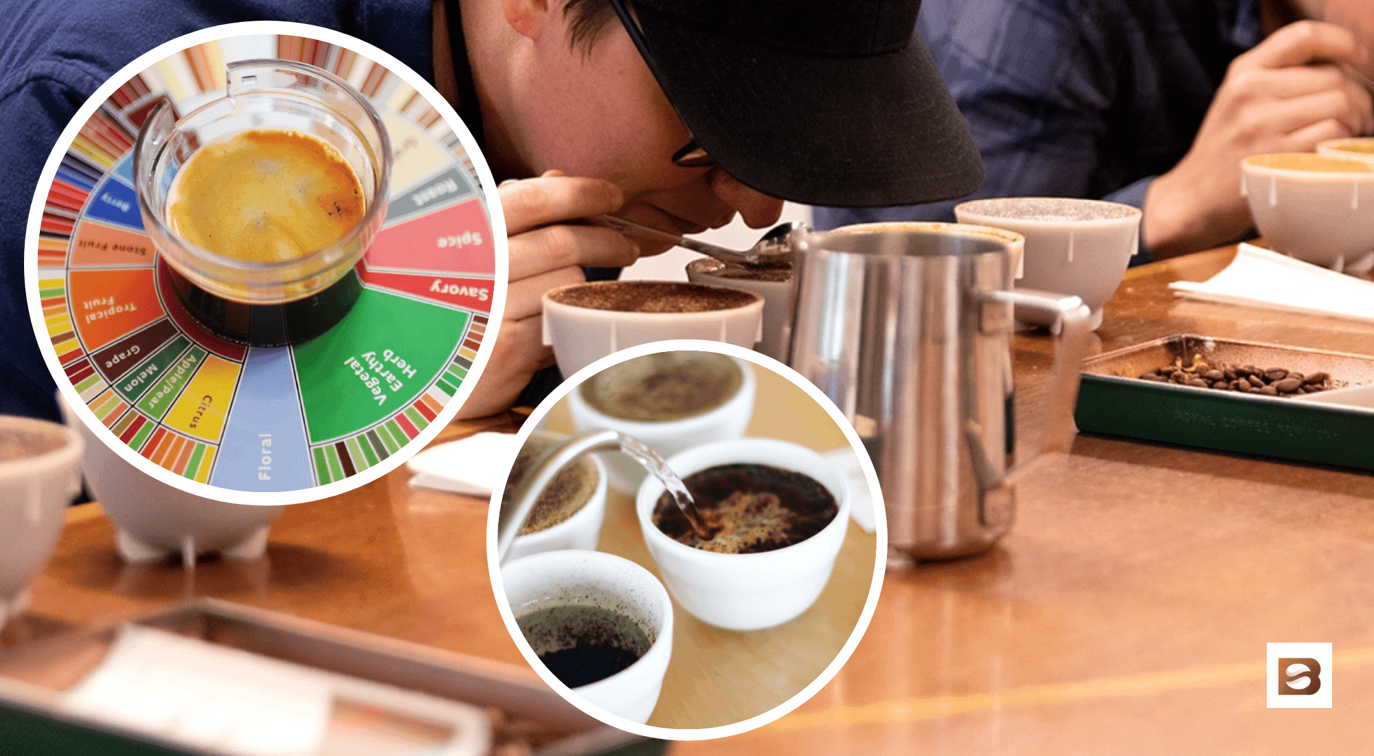 what is coffee cupping