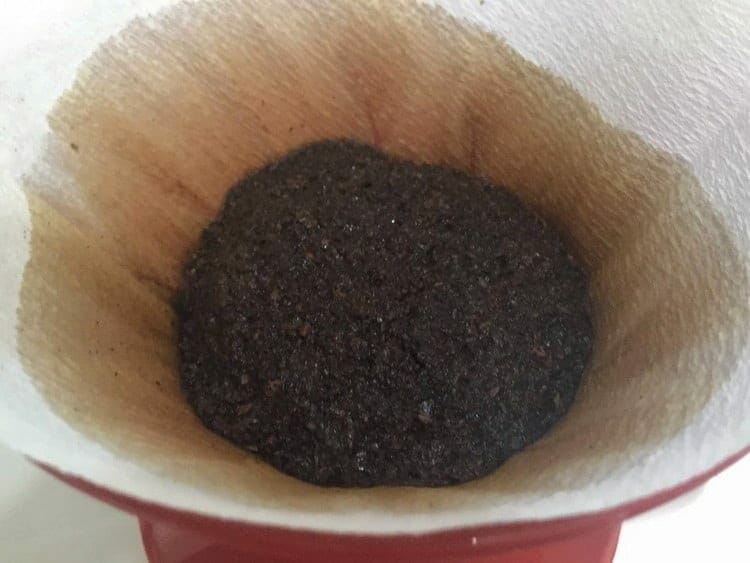 Coffee blooming