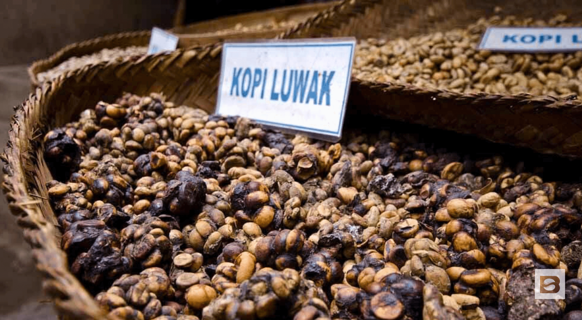 most expensive coffee of the world