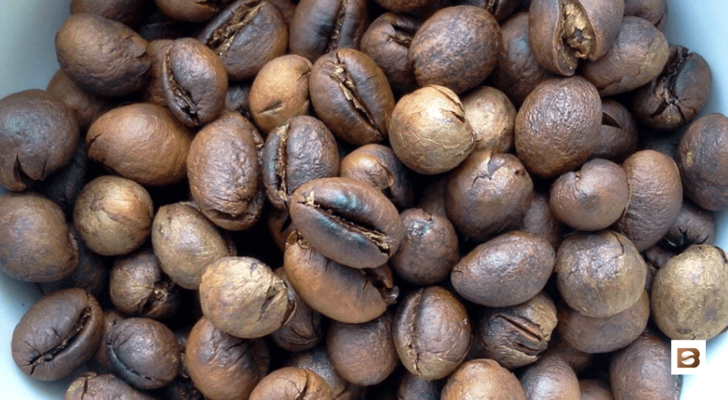 what is peaberry coffee?