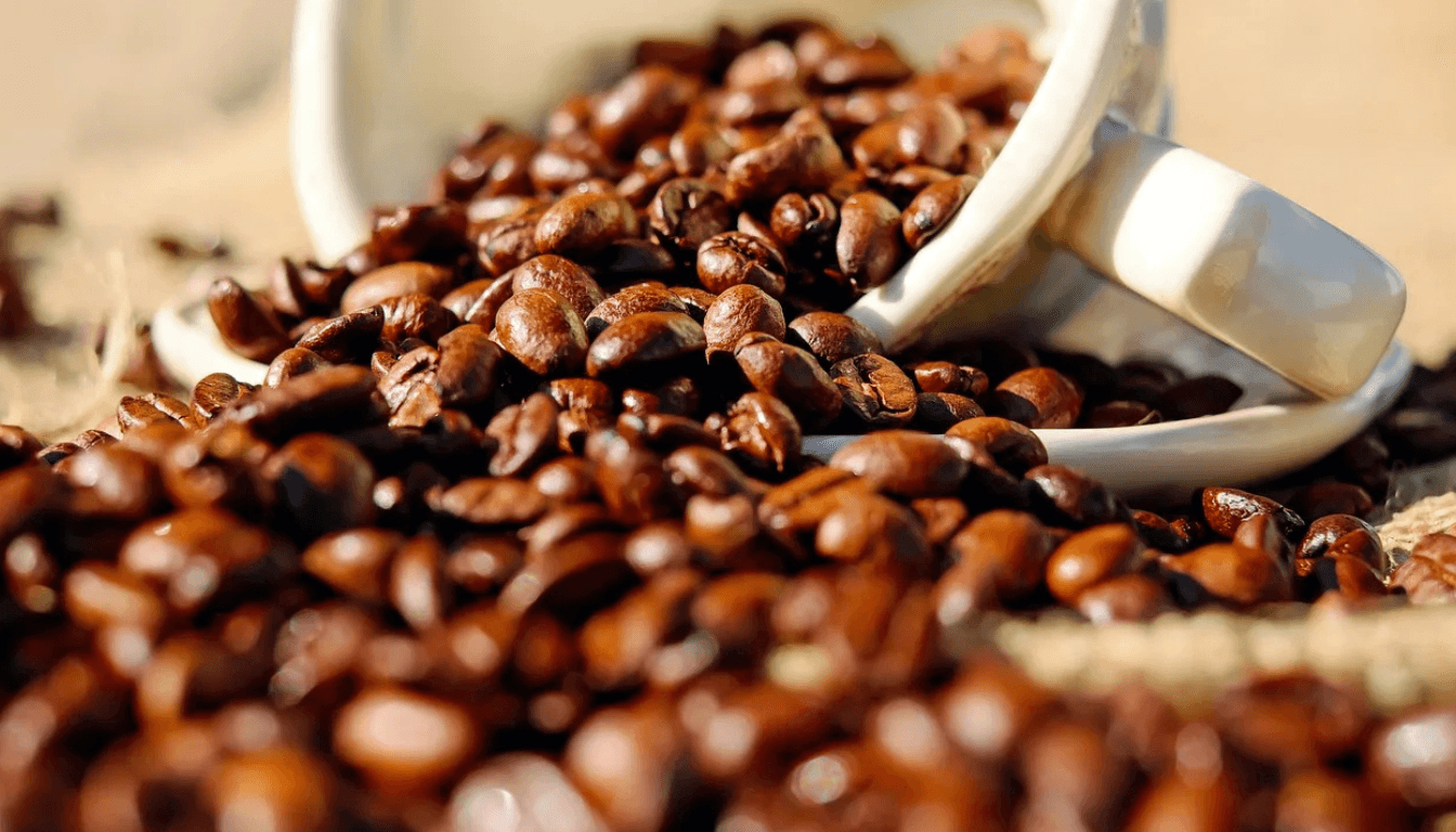 best ground coffee in supermarkets