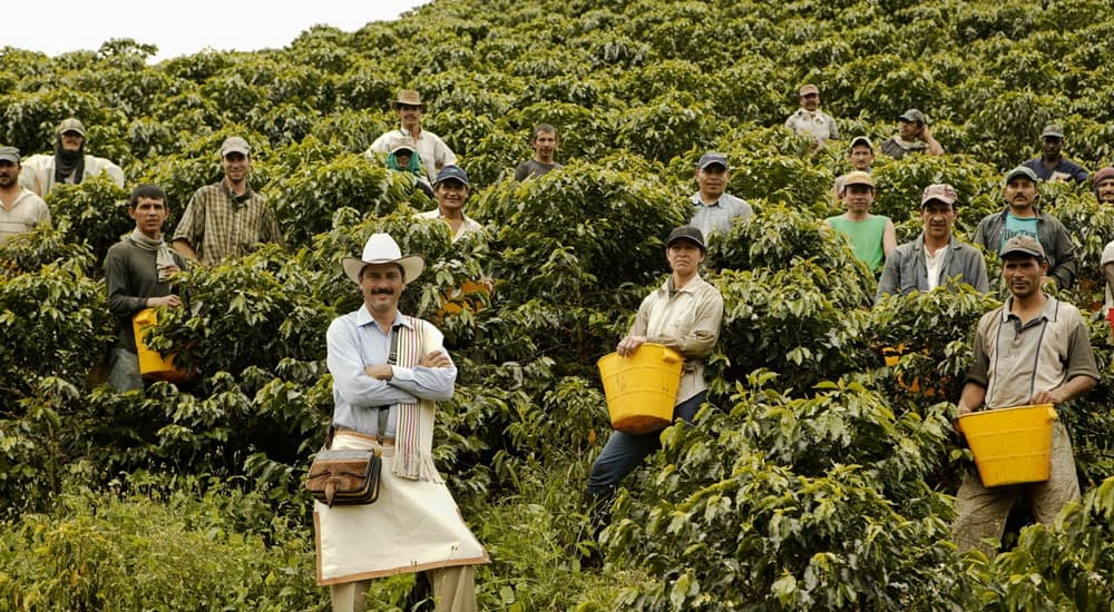 coffee farmers stood for photograph 