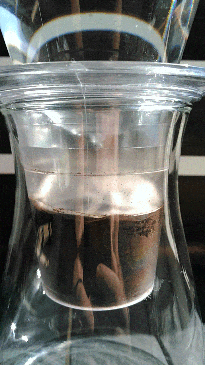 Iwaki drip rate