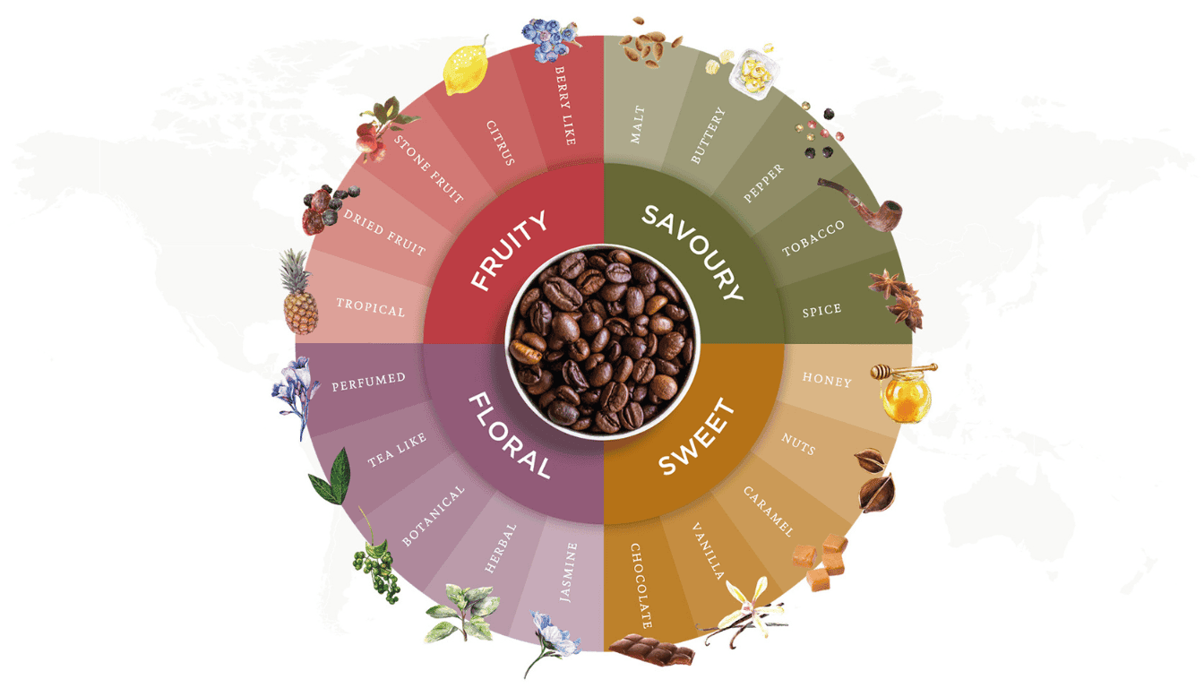tasting espresso flavor wheel