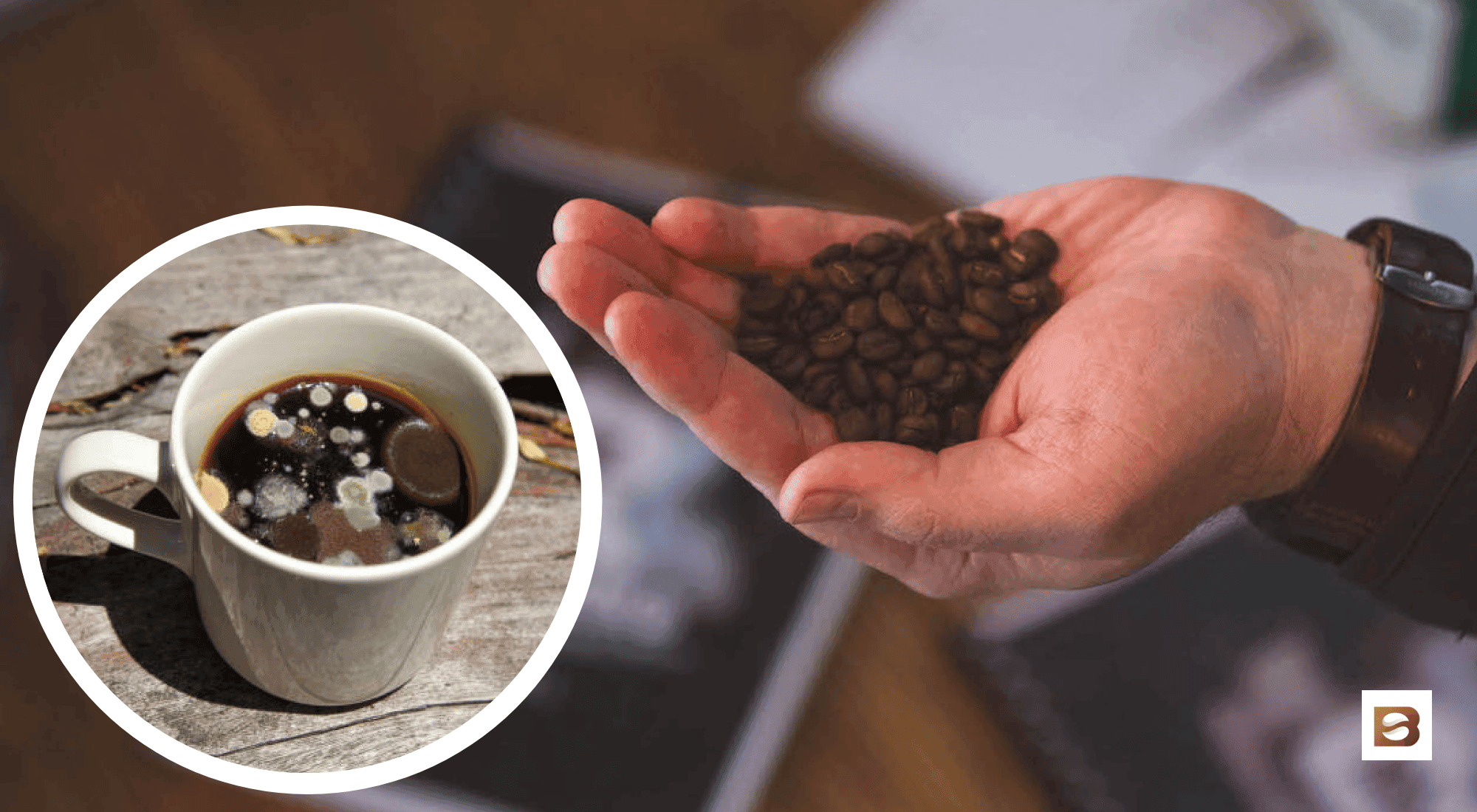 can old coffee make you sick, do coffee beans go bad, does brewed coffee go bad