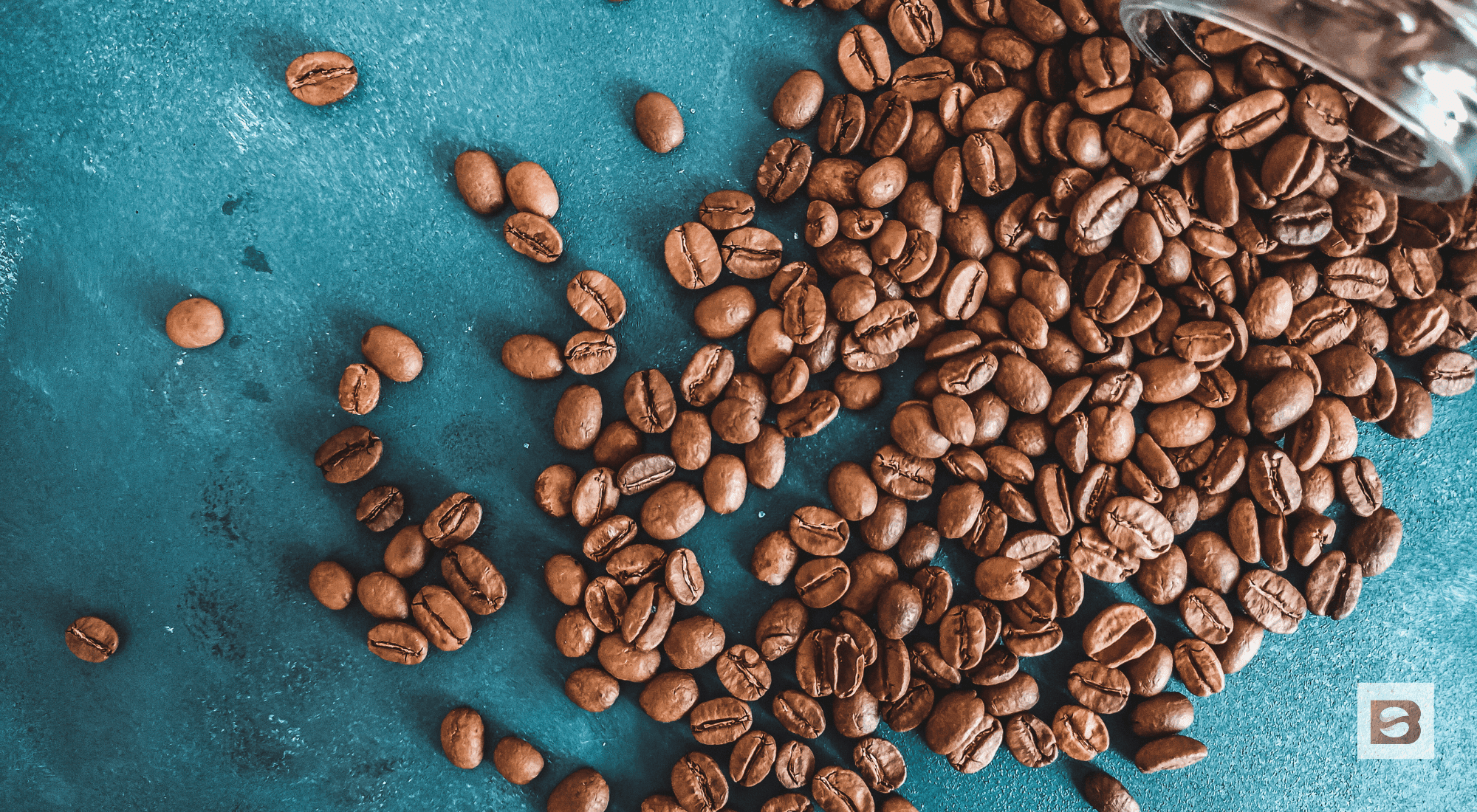 blending coffee beans