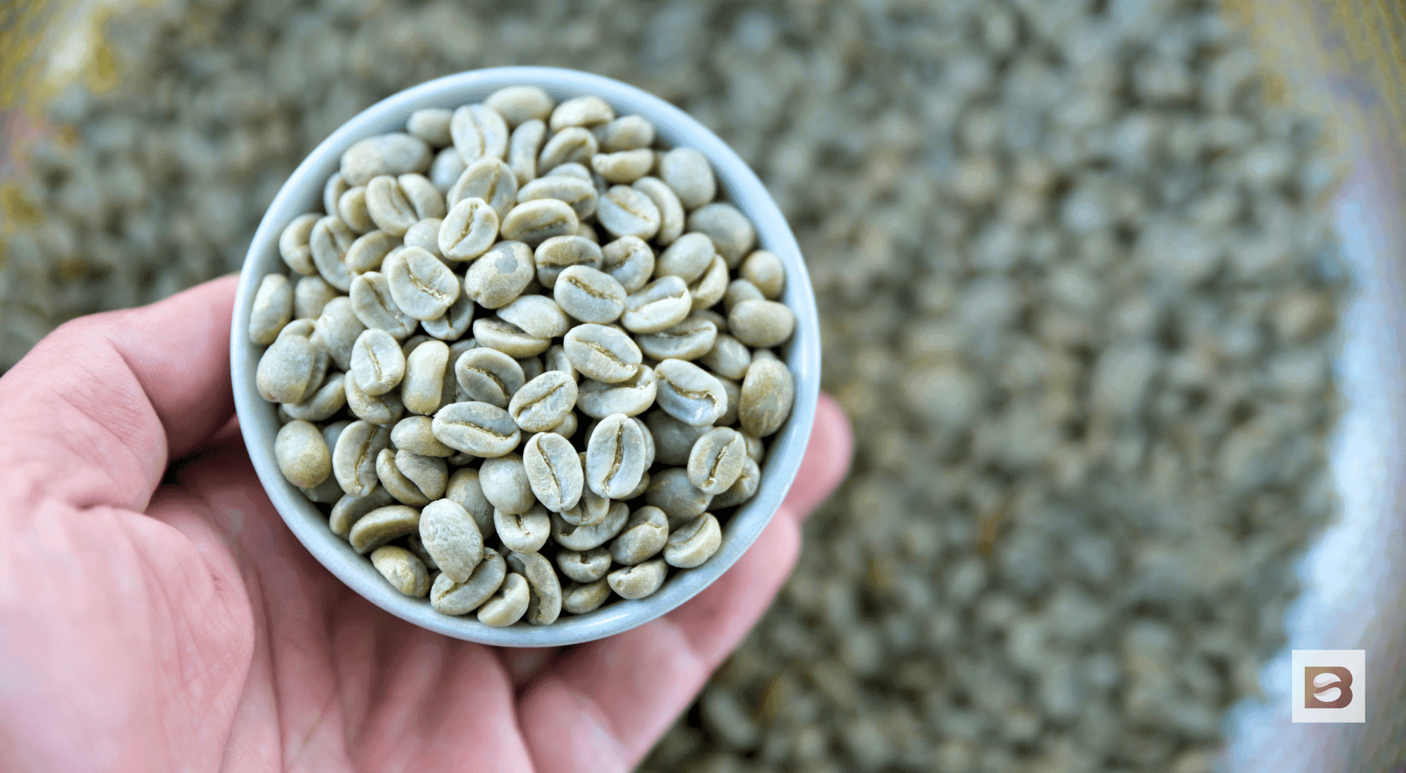 how long are green coffee beans good for