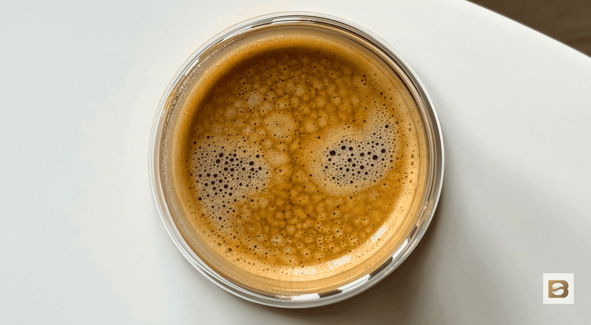 Dead Espresso Shots