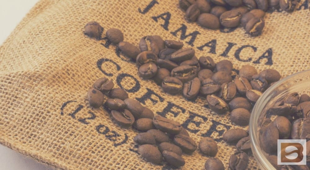Best Jamaican Blue Mountain Coffee