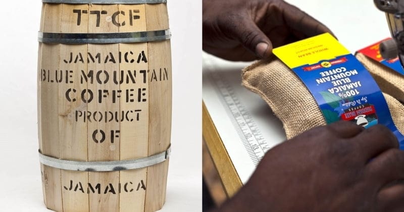 Where To Buy Jamaican Blue Mountain Coffee