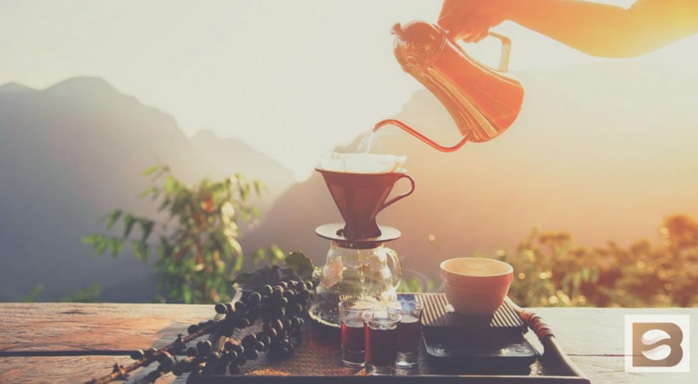 how to brew blue mountain coffee
