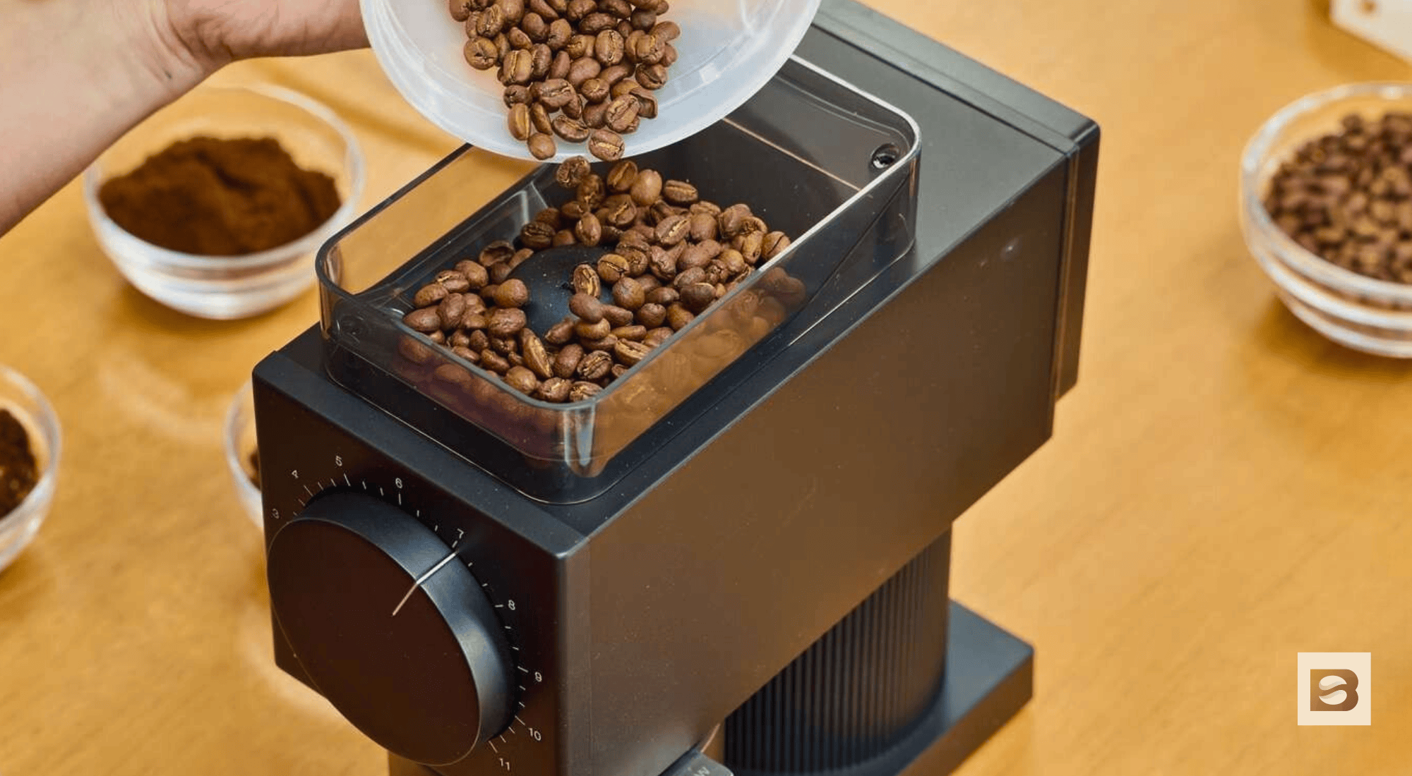 Best Coffee Grinders