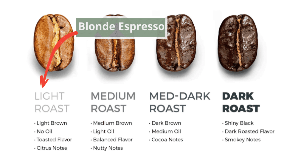 the roast profile of blonde espresso